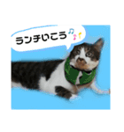 ひかる生活2（個別スタンプ：15）