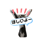ひかる生活2（個別スタンプ：17）