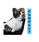 ひかる生活2（個別スタンプ：18）