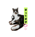 ひかる生活2（個別スタンプ：19）
