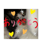 ひかる生活2（個別スタンプ：20）