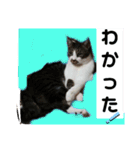 ひかる生活2（個別スタンプ：23）