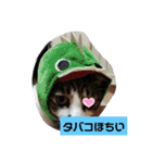 ひかる生活2（個別スタンプ：26）