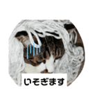 ひかる生活2（個別スタンプ：27）