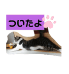 ひかる生活2（個別スタンプ：28）