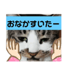 ひかる生活2（個別スタンプ：29）