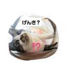 ひかる生活2（個別スタンプ：30）