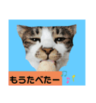 ひかる生活2（個別スタンプ：31）