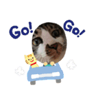 ひかる生活2（個別スタンプ：32）