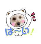 トイプー我が家のきなこ③（個別スタンプ：9）