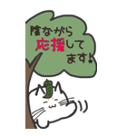 【ねこ豆の日常】BIGスタンプ（個別スタンプ：3）