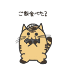 【ねこ豆の日常】BIGスタンプ（個別スタンプ：34）