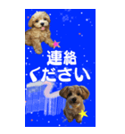 小さなお友達の宇宙からのメッセージ（個別スタンプ：1）