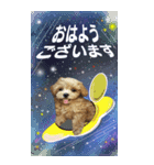 小さなお友達の宇宙からのメッセージ（個別スタンプ：4）