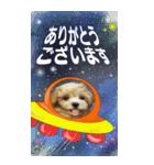 小さなお友達の宇宙からのメッセージ（個別スタンプ：5）
