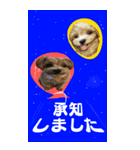 小さなお友達の宇宙からのメッセージ（個別スタンプ：7）
