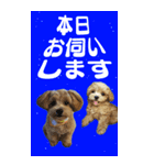 小さなお友達の宇宙からのメッセージ（個別スタンプ：8）