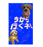 小さなお友達の宇宙からのメッセージ（個別スタンプ：11）