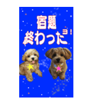 小さなお友達の宇宙からのメッセージ（個別スタンプ：13）