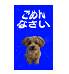小さなお友達の宇宙からのメッセージ（個別スタンプ：14）