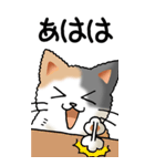 猫大好き！（大）その1（個別スタンプ：18）