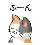 猫大好き！（大）その1（個別スタンプ：19）