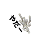 多肉植物を愛する人に送る 日常会話（個別スタンプ：18）