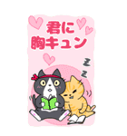 しろねこぽりん・にゃんずのBIGスタンプ（個別スタンプ：37）