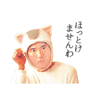 きょうの猫村さん（個別スタンプ：6）