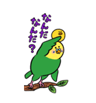 インコさんとヒヨコさんのbigスタンプ（個別スタンプ：22）