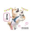 仲良しぽてくろだよ（個別スタンプ：8）