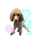 サリー＆モコ（個別スタンプ：10）