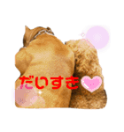 サリー＆モコ（個別スタンプ：14）