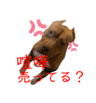サリー＆モコ（個別スタンプ：22）