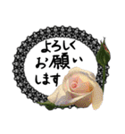 薔薇＋黒レース＋手書き文字敬語（個別スタンプ：9）