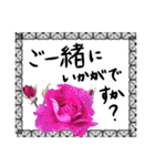 薔薇＋黒レース＋手書き文字敬語（個別スタンプ：36）
