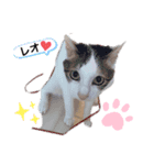 れおにゃん♪（個別スタンプ：1）