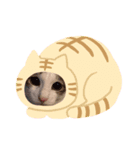 れおにゃん♪（個別スタンプ：2）