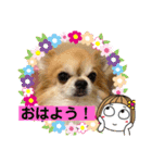 I Love チワワ❤️（個別スタンプ：8）