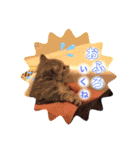 パフェ スコティッシュ（個別スタンプ：15）