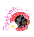 ふぅちゃんずぅ（個別スタンプ：5）