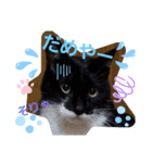 ふぅちゃんずぅ（個別スタンプ：7）