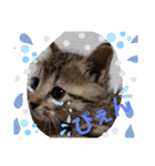 ふぅちゃんずぅ（個別スタンプ：10）
