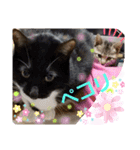 ふぅちゃんずぅ（個別スタンプ：13）