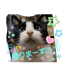 ふぅちゃんずぅ（個別スタンプ：14）