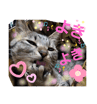 ふぅちゃんずぅ（個別スタンプ：16）