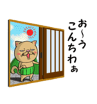 蔑んだ目の猫①（個別スタンプ：5）