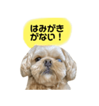 おしゃべりムギスタンプ（個別スタンプ：3）