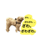 おしゃべりムギスタンプ（個別スタンプ：6）