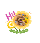 ほのぼのoimo No.2（個別スタンプ：3）